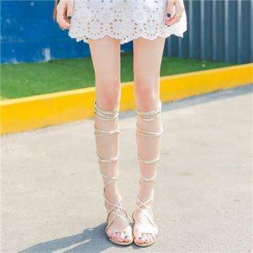 竞速PK10手机应用下载